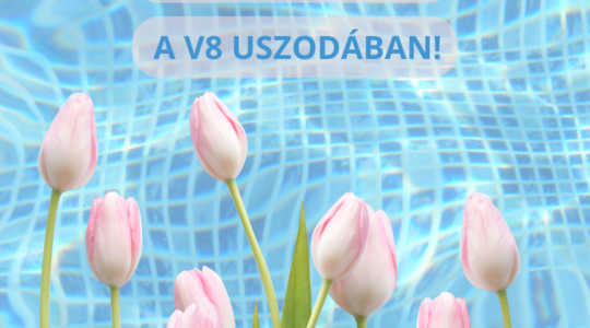 Nőnapi kedvezmény a V8-ban